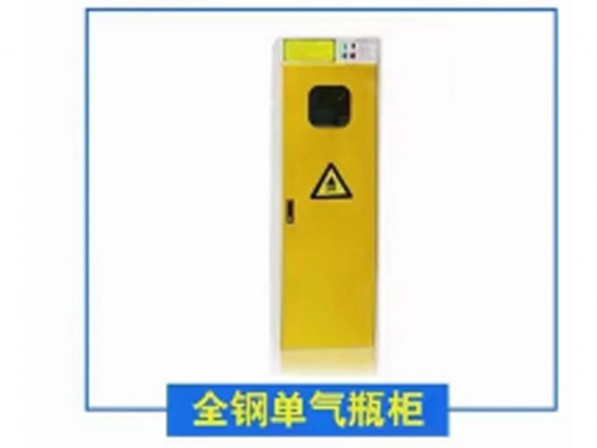 点击查看详细信息<br>标题：金钢单气瓶柜 阅读次数：373